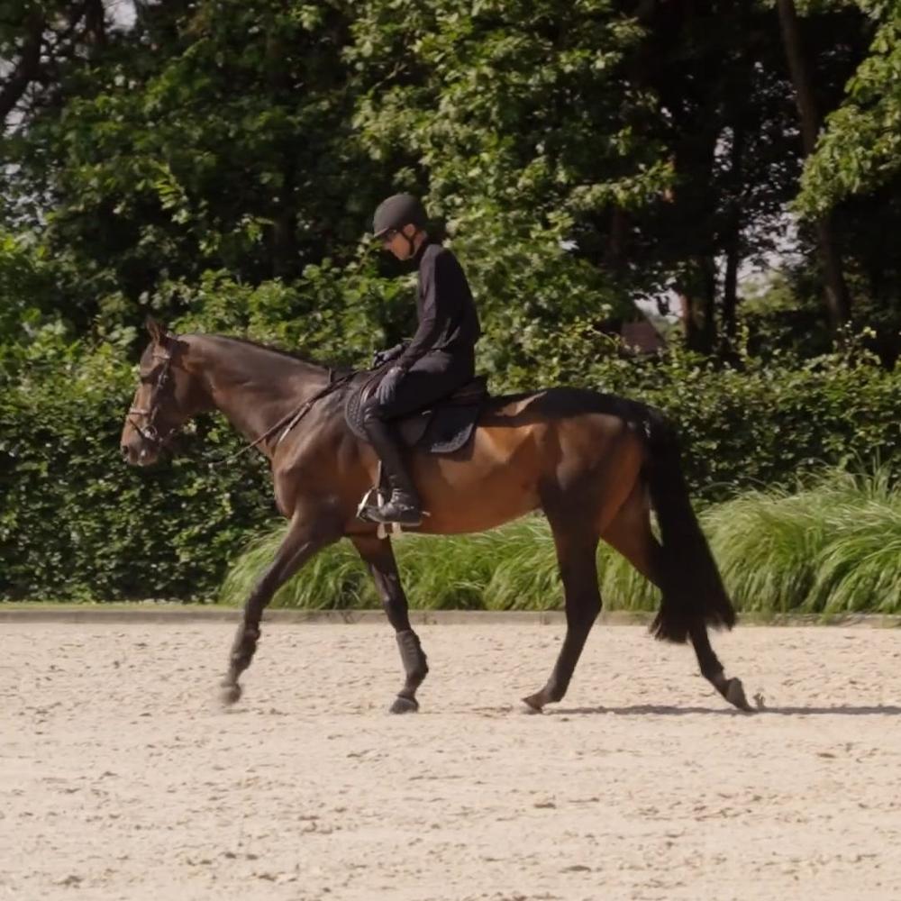 Daily Outfit by Henrik von Eckermann